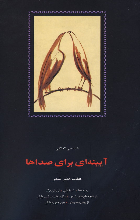 آیینهای برای صداها book cover