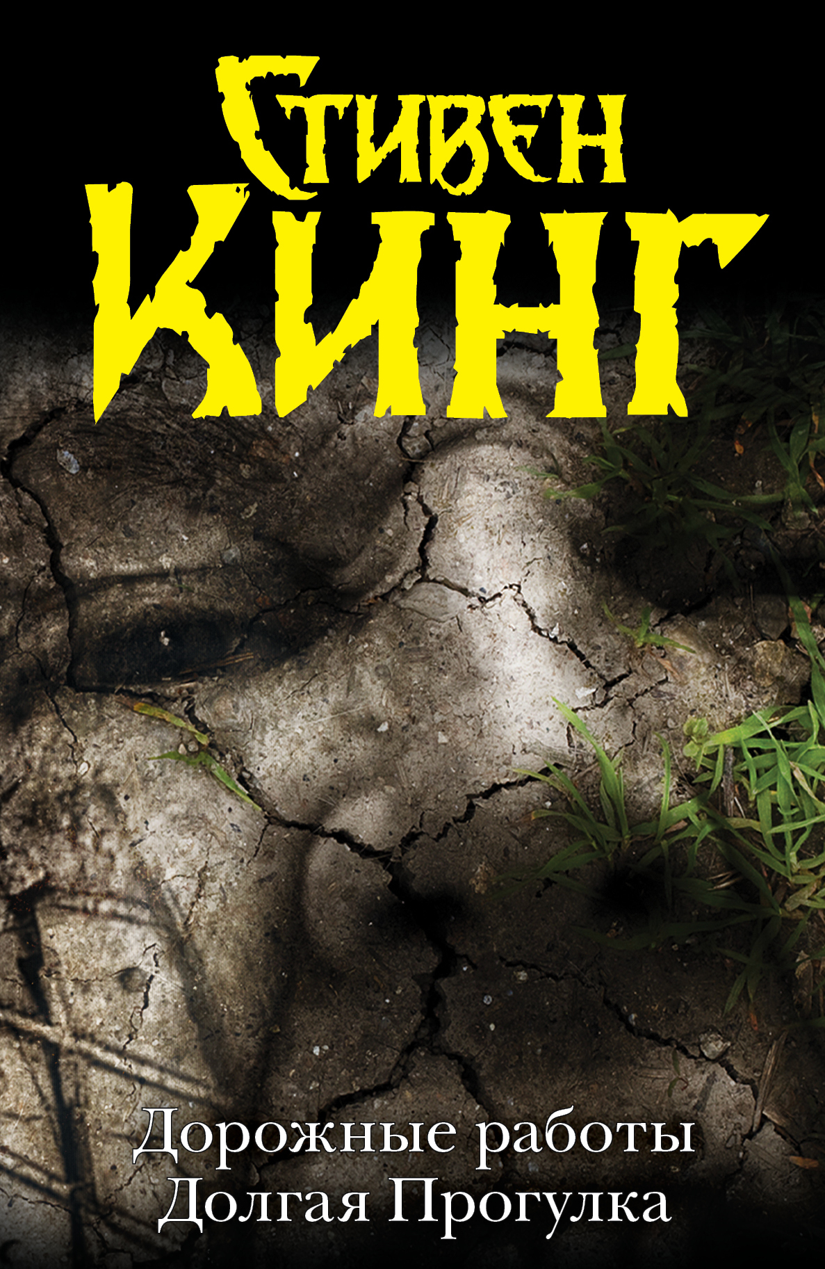 Дорожные работы. Долгая прогулка book cover