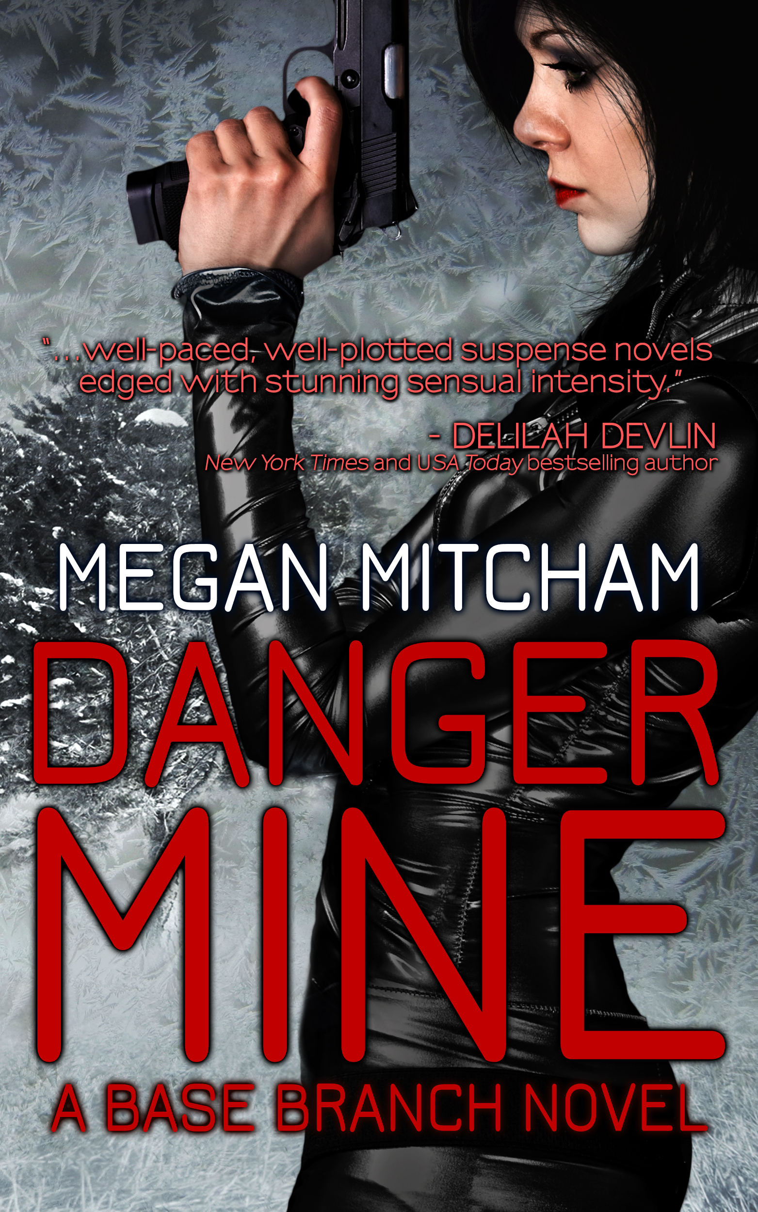 Danger Mine book cover