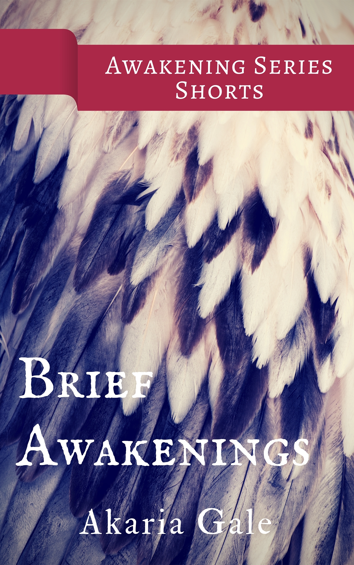 Awakening book cover 3