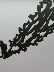 Shadows of the Limelight
