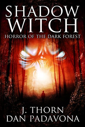 Shadow Witch book cover