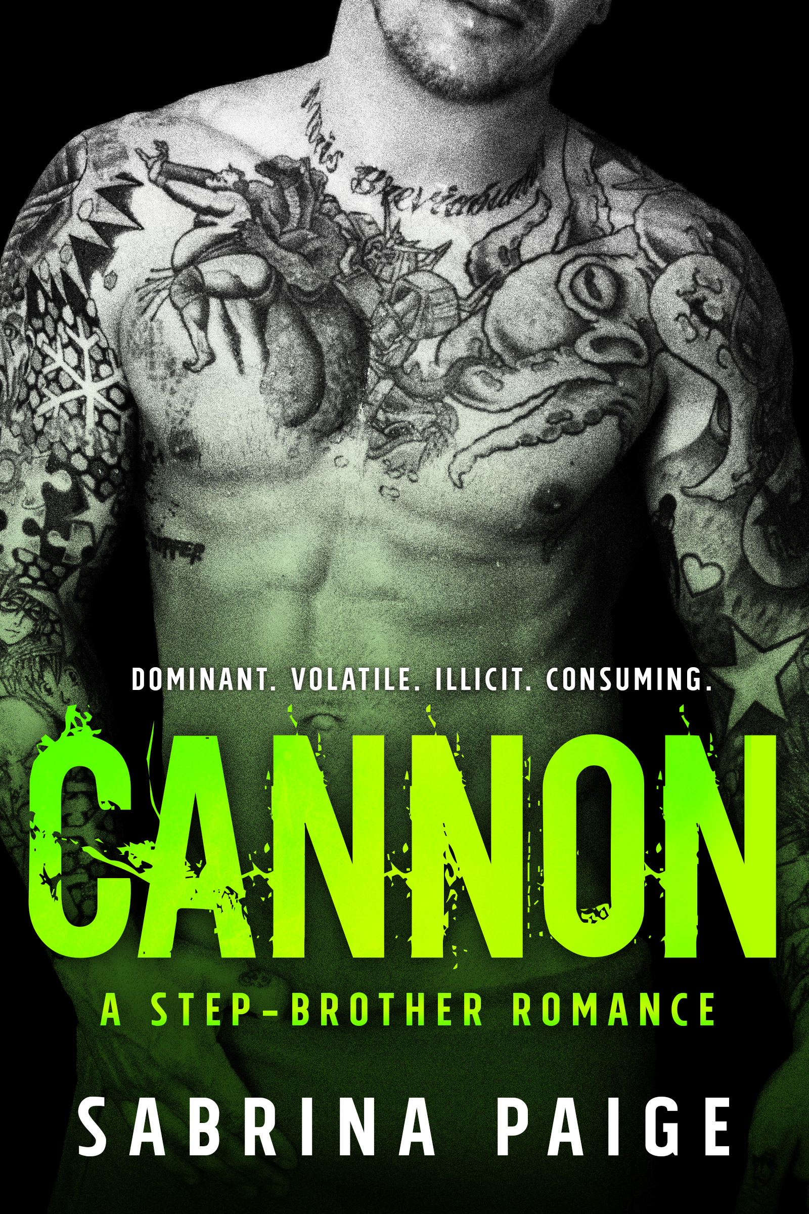 A Step-Brother Romance book cover 3