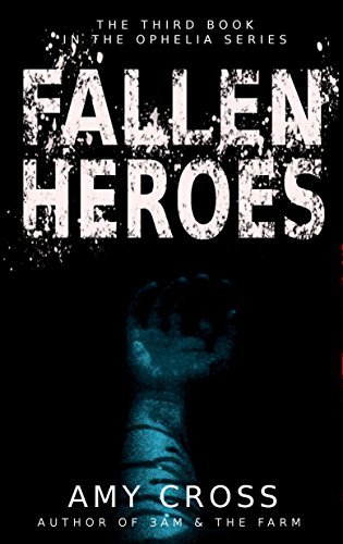 Fallen Heroes book cover