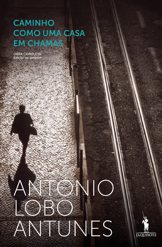 Caminho Como Uma Casa em Chamas book cover