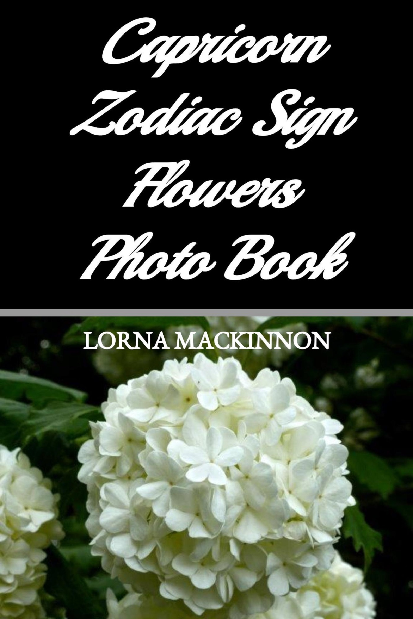 Capricorn Zodiac Sign Flowers Photo Book by Lorna Mackinnon Goodreads
