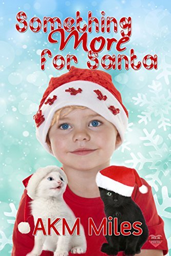 Something More for Santa book cover
