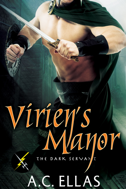 Virien's Manor book cover
