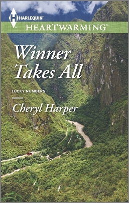 Winner Takes All book cover