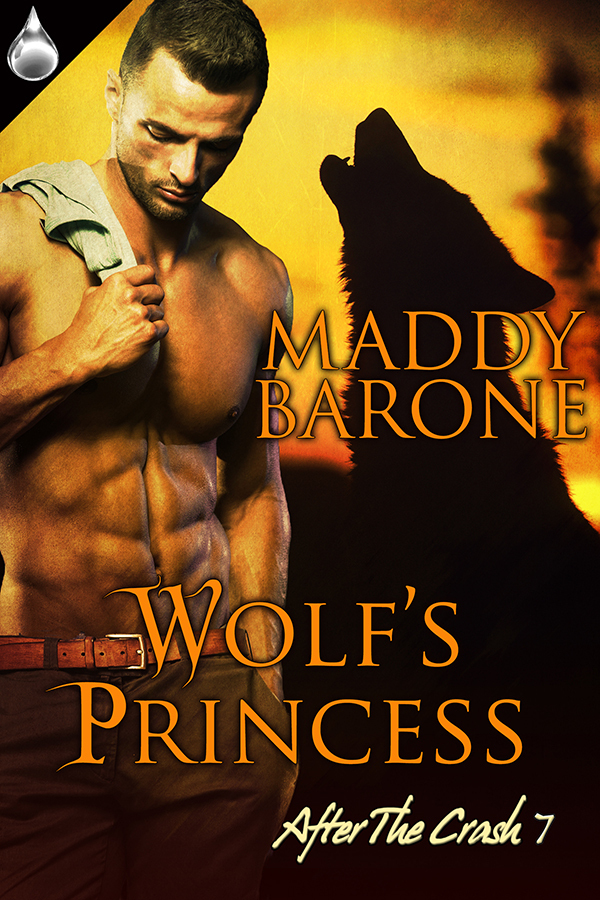 Wolf's Princess book cover