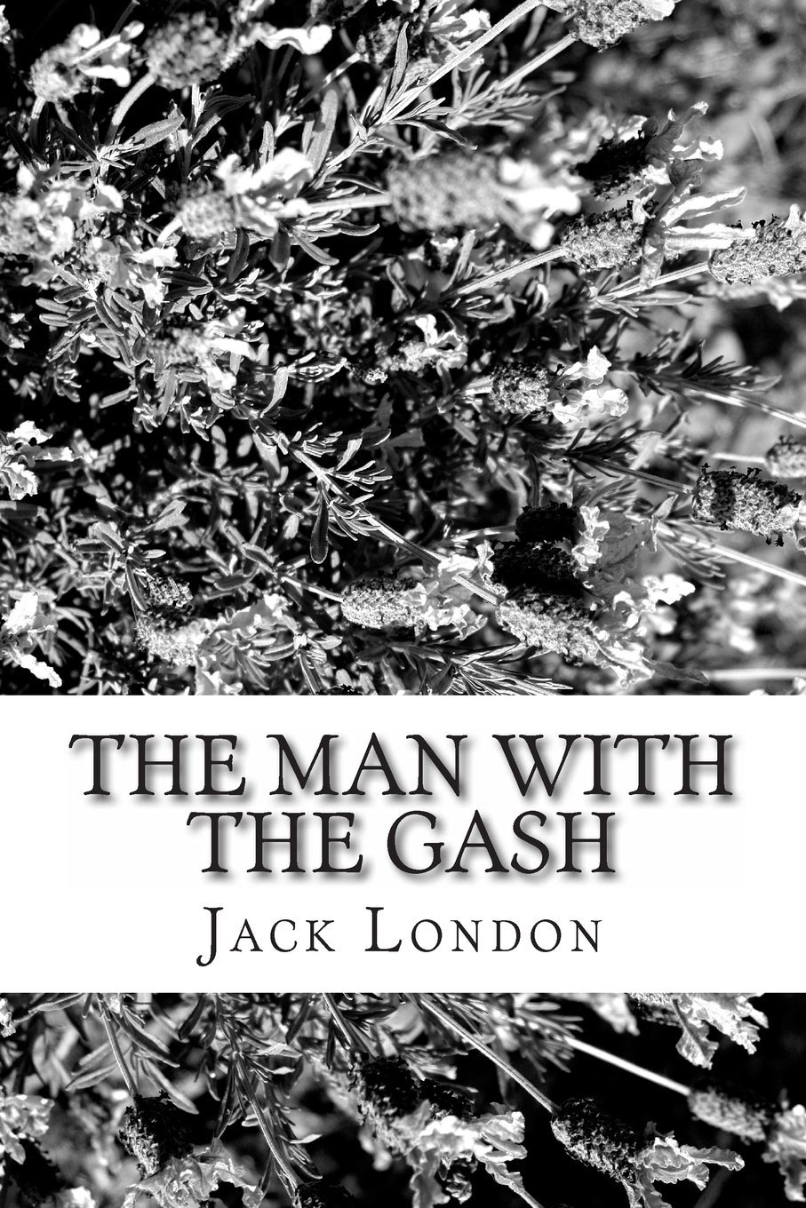 The Man With the Gash book cover