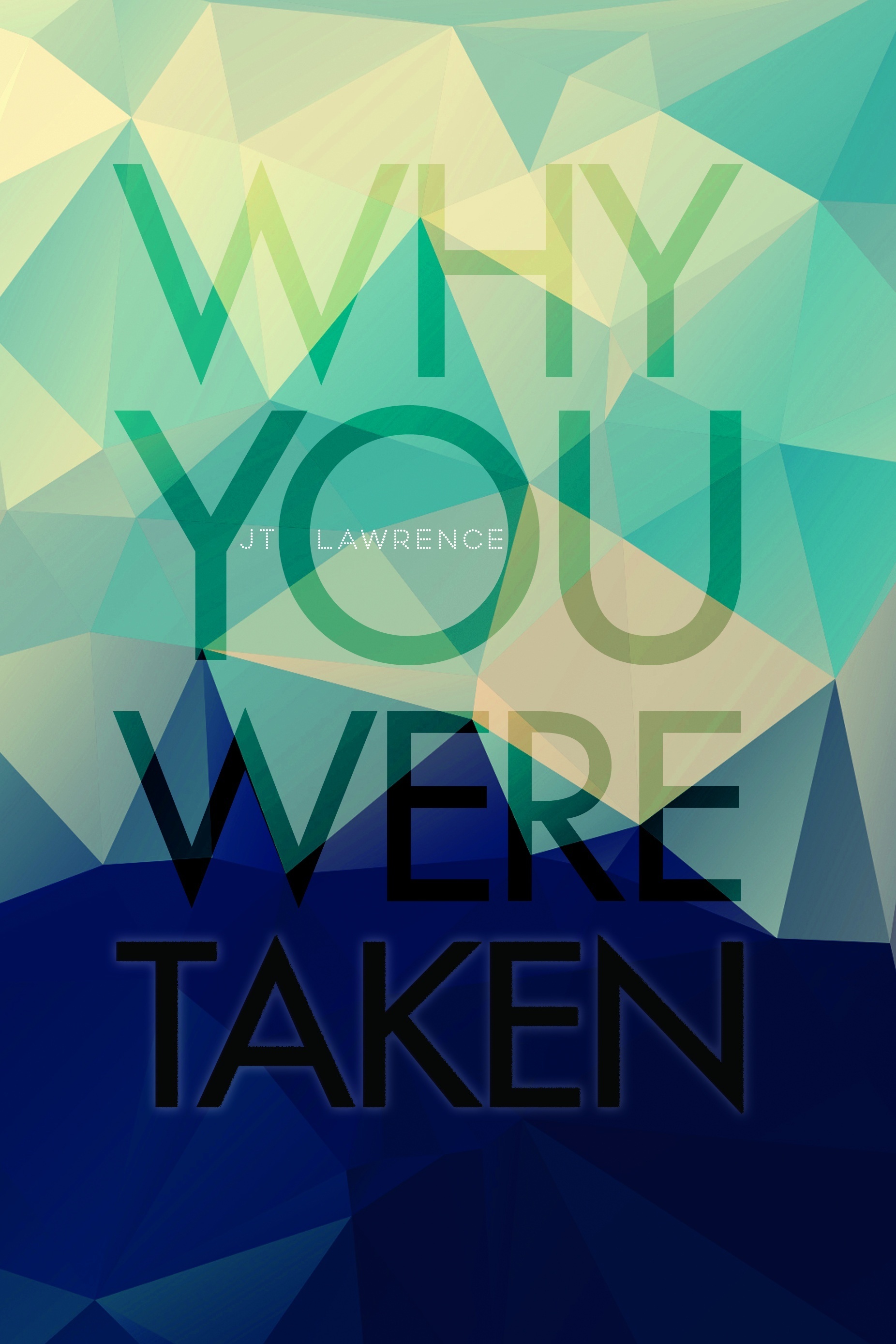 Why You Were Taken book cover