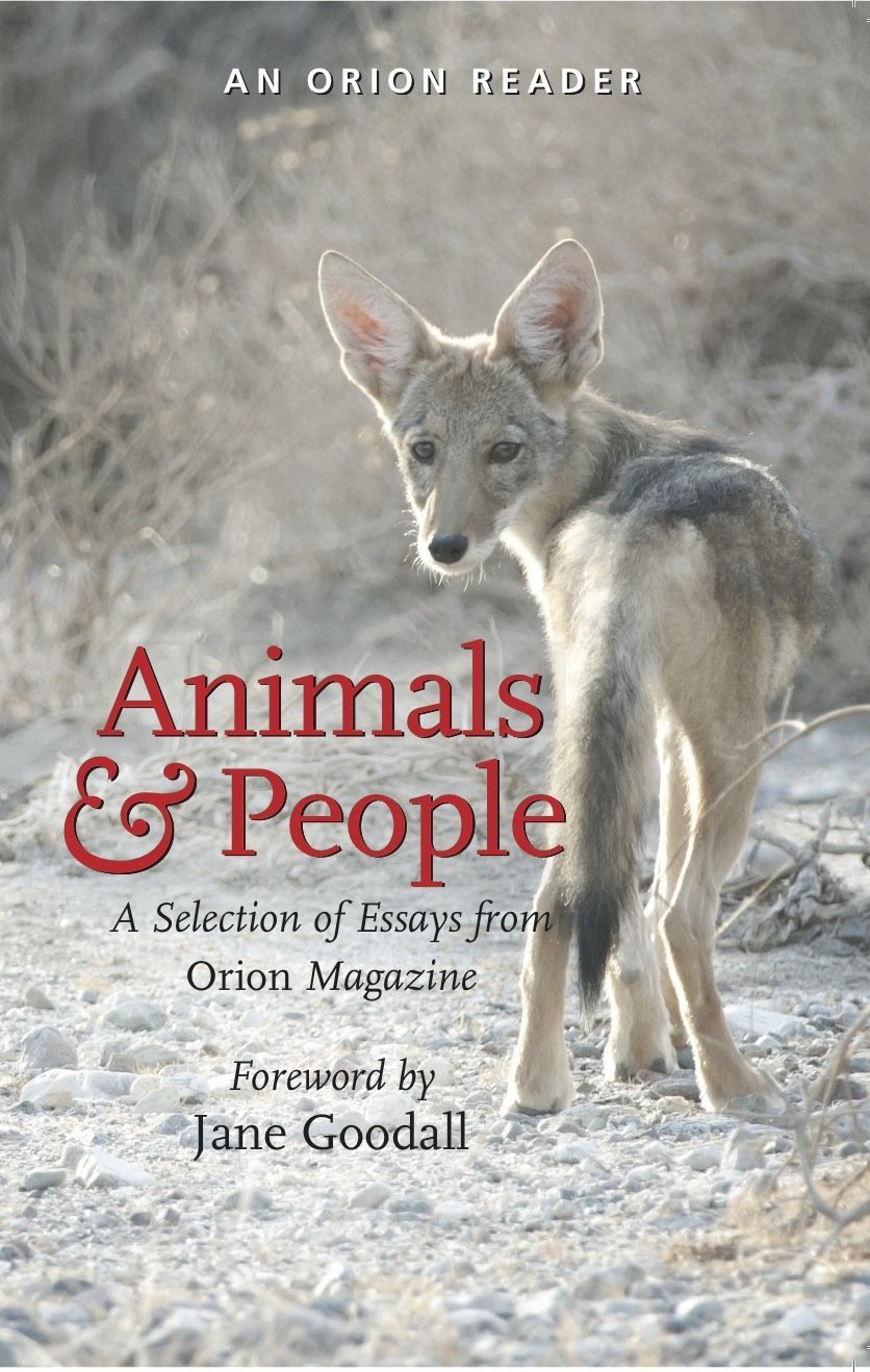 Animals & People book cover