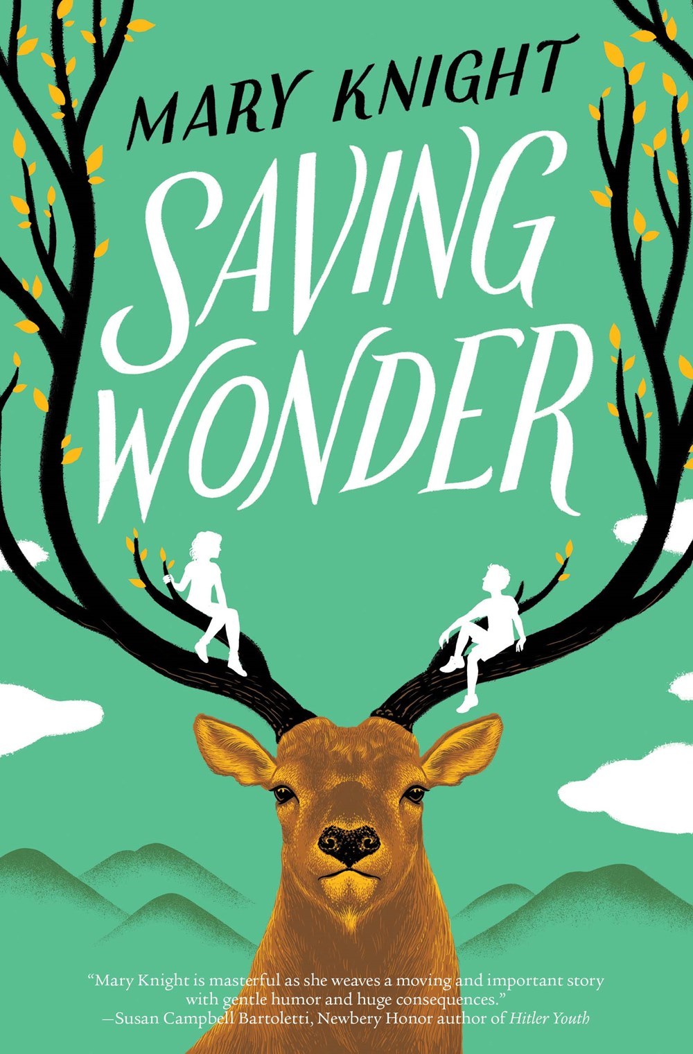 cover img of Saving Wonder