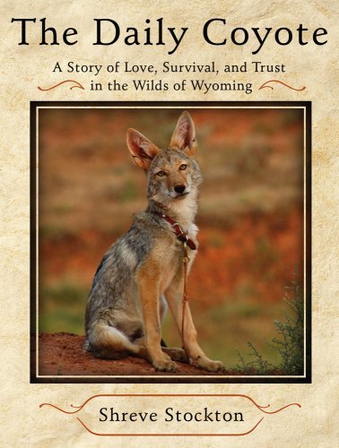 The Daily Coyote: Story of Love, Survival, and Trust In the Wilds of Wyoming cover