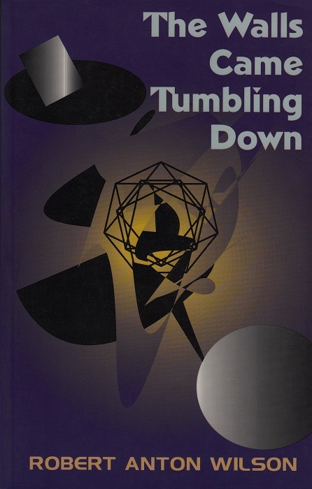 The Walls Came Tumbling Down book cover