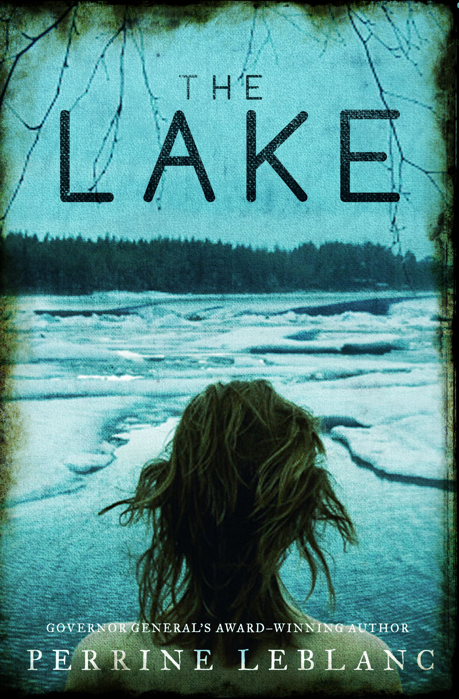 The Lake book cover