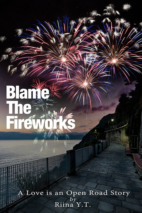 Blame the Fireworks by Riina Y.T. Goodreads