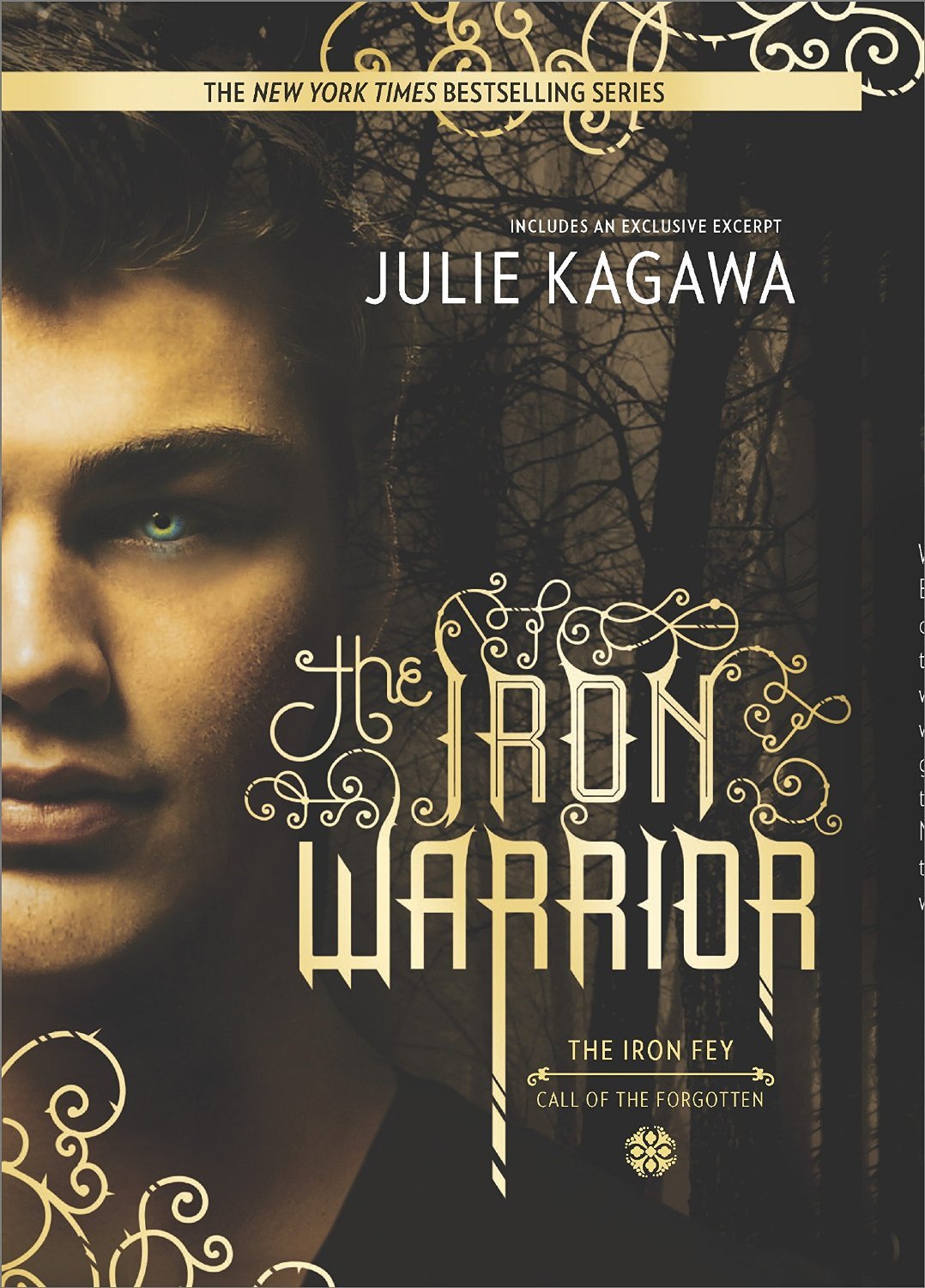 The Iron Warrior (The Iron Fey: Call of the Forgotten, #3)