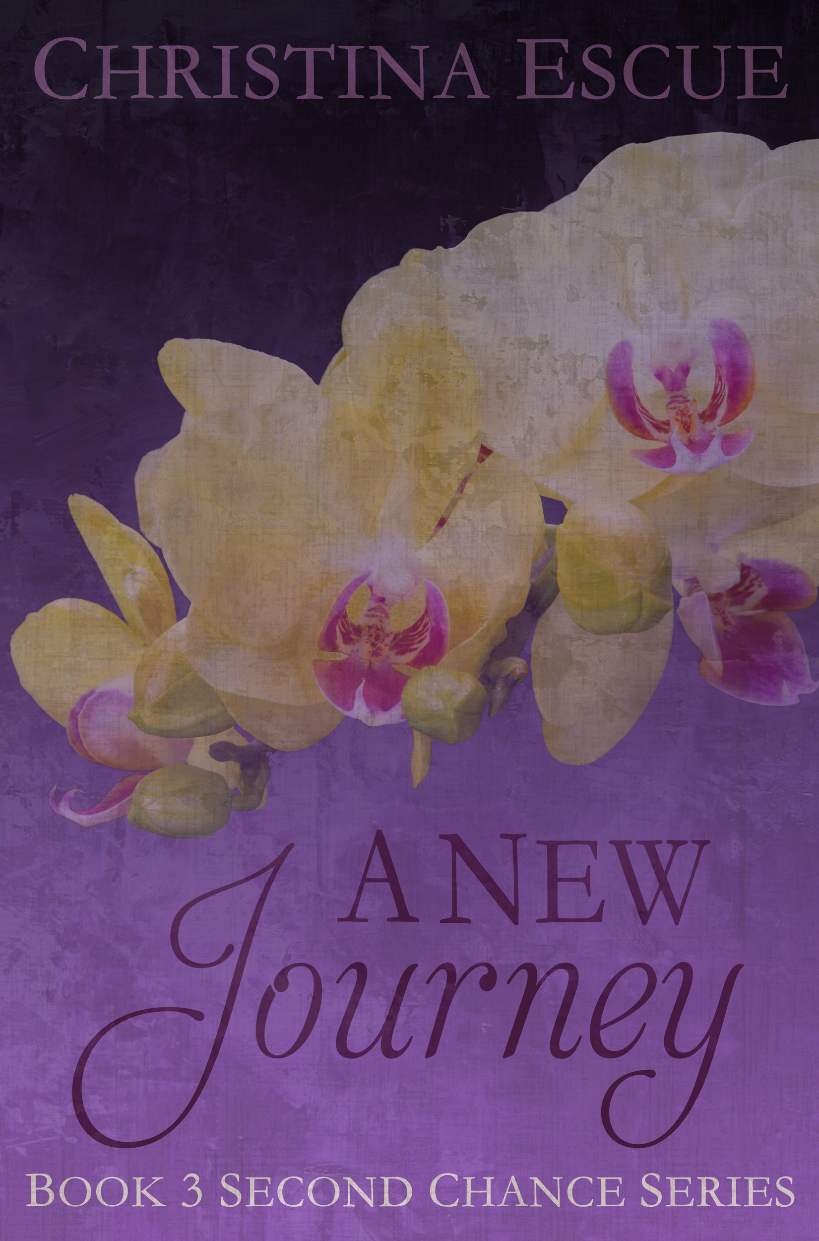 The Second Chance book cover 3