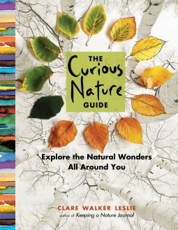 The Curious Nature Guide: Explore the Natural Wonders All Around You