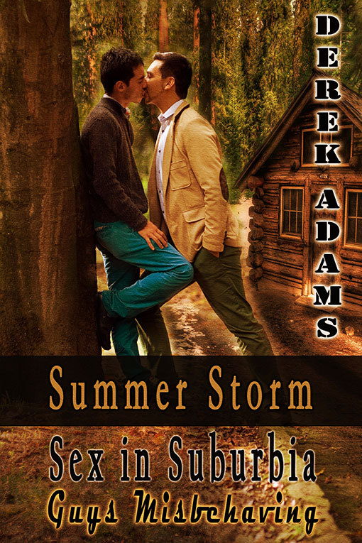 Summer Storm book cover