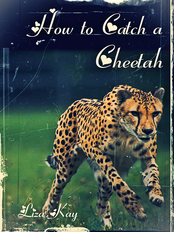 How to Catch a Cheetah book cover