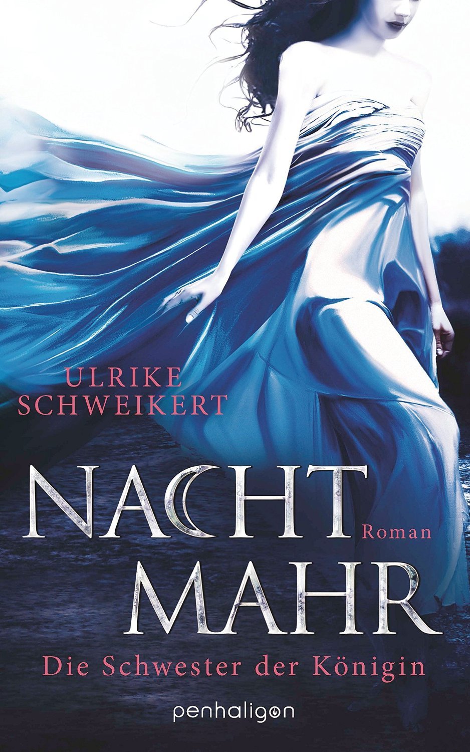 Die Schwester der Königin book cover