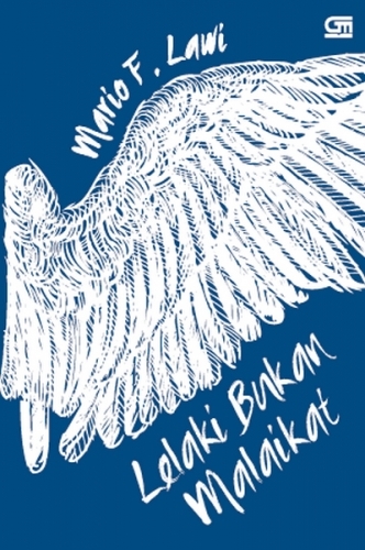 Lelaki Bukan Malaikat book cover