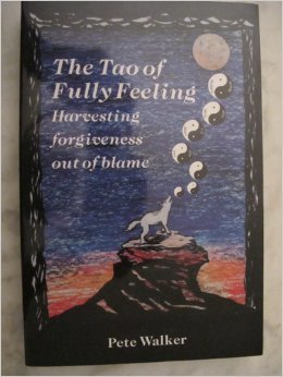 The Tao of Fully Feeling book cover