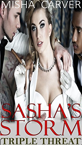Sasha's Storm book cover
