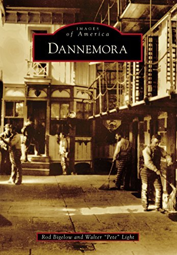 Dannemora book cover
