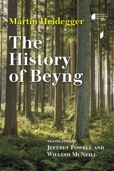 The History of Beyng book cover