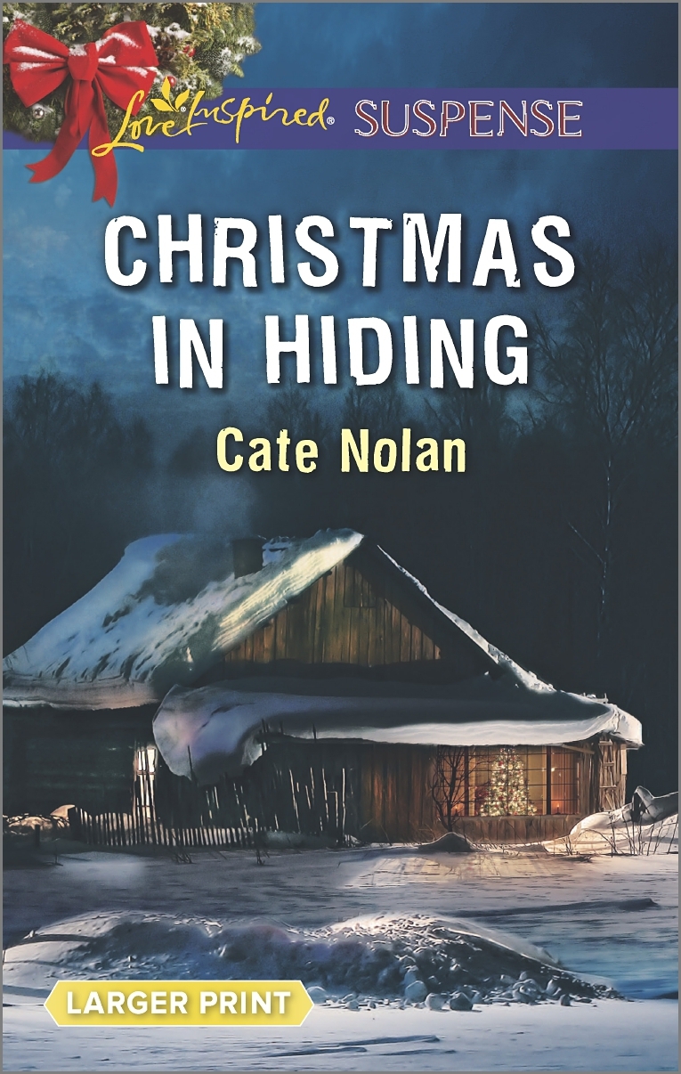 Christmas in Hiding book cover
