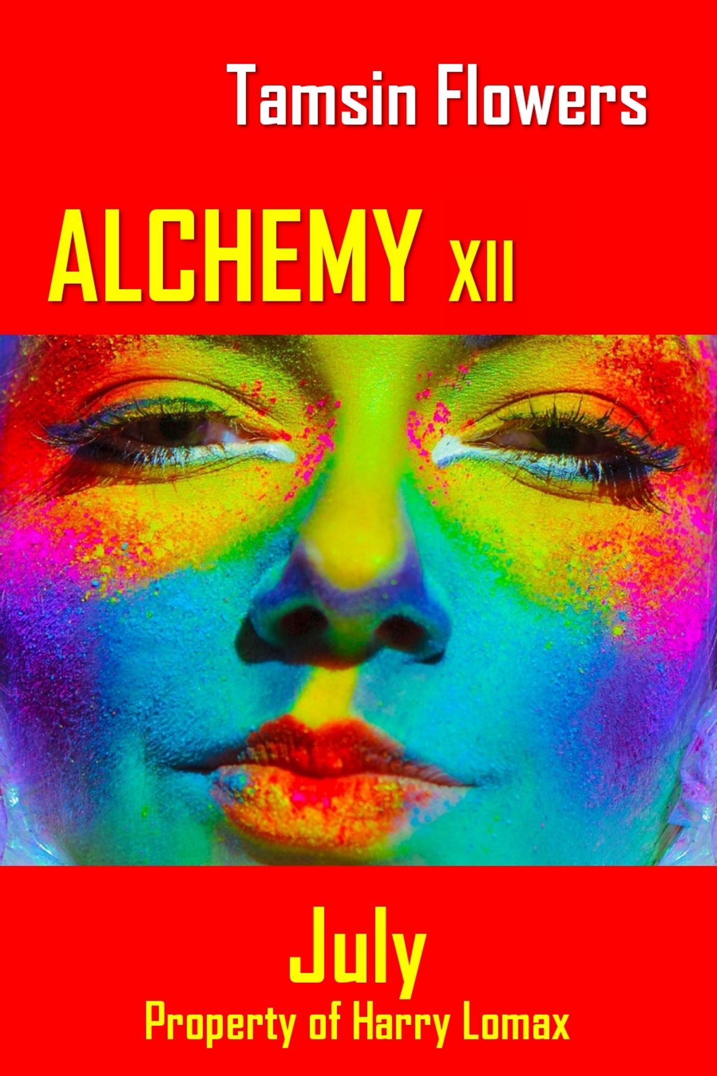 Alchemy xii - July book cover