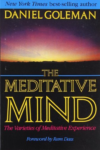 The Meditative Mind book cover