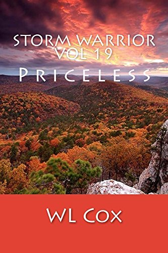 Storm Warrior Vol 19 book cover