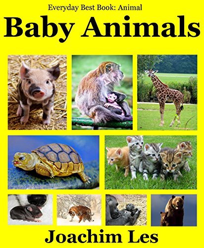Animals Book for Kid - Baby Animal :50 Cute Pictures of Animals++: (Kids Books ...