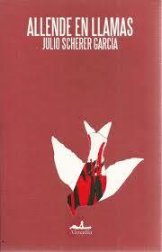 Allende en llamas book cover