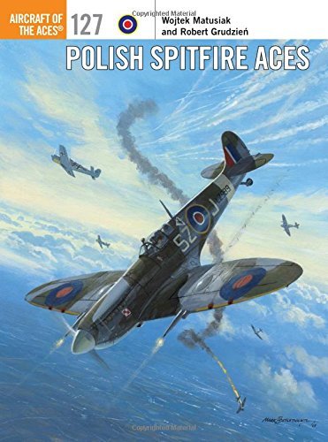 Polish Spitfire Aces book cover