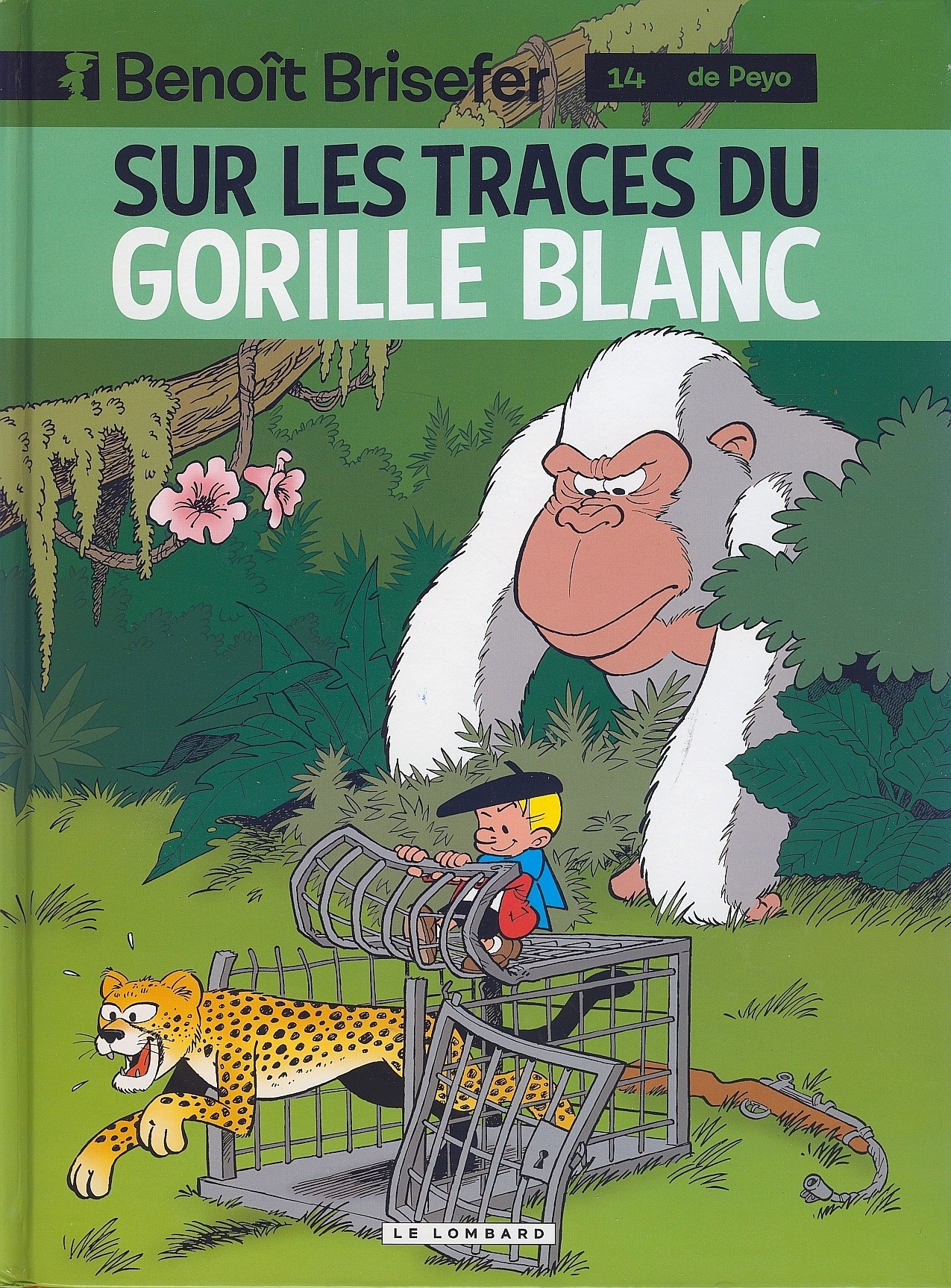 Sur les traces du gorille blanc book cover