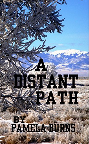A Distant Path: A Civil War Story of the Southwest