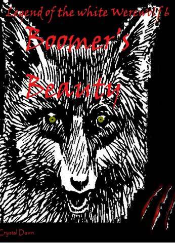 Boomer's Beauty book cover