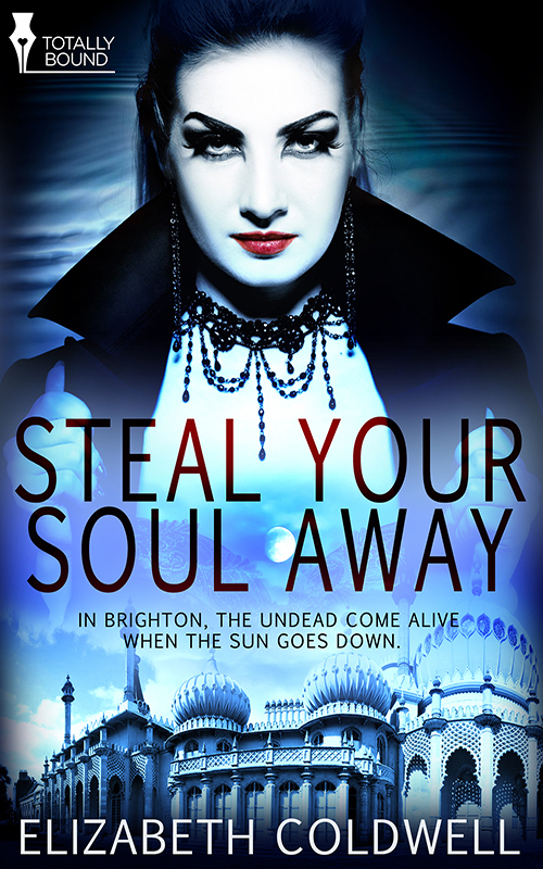 Steal Your Soul Away book cover
