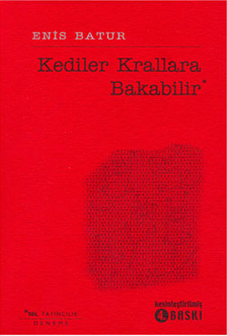 Kediler Krallara Bakabilir book cover