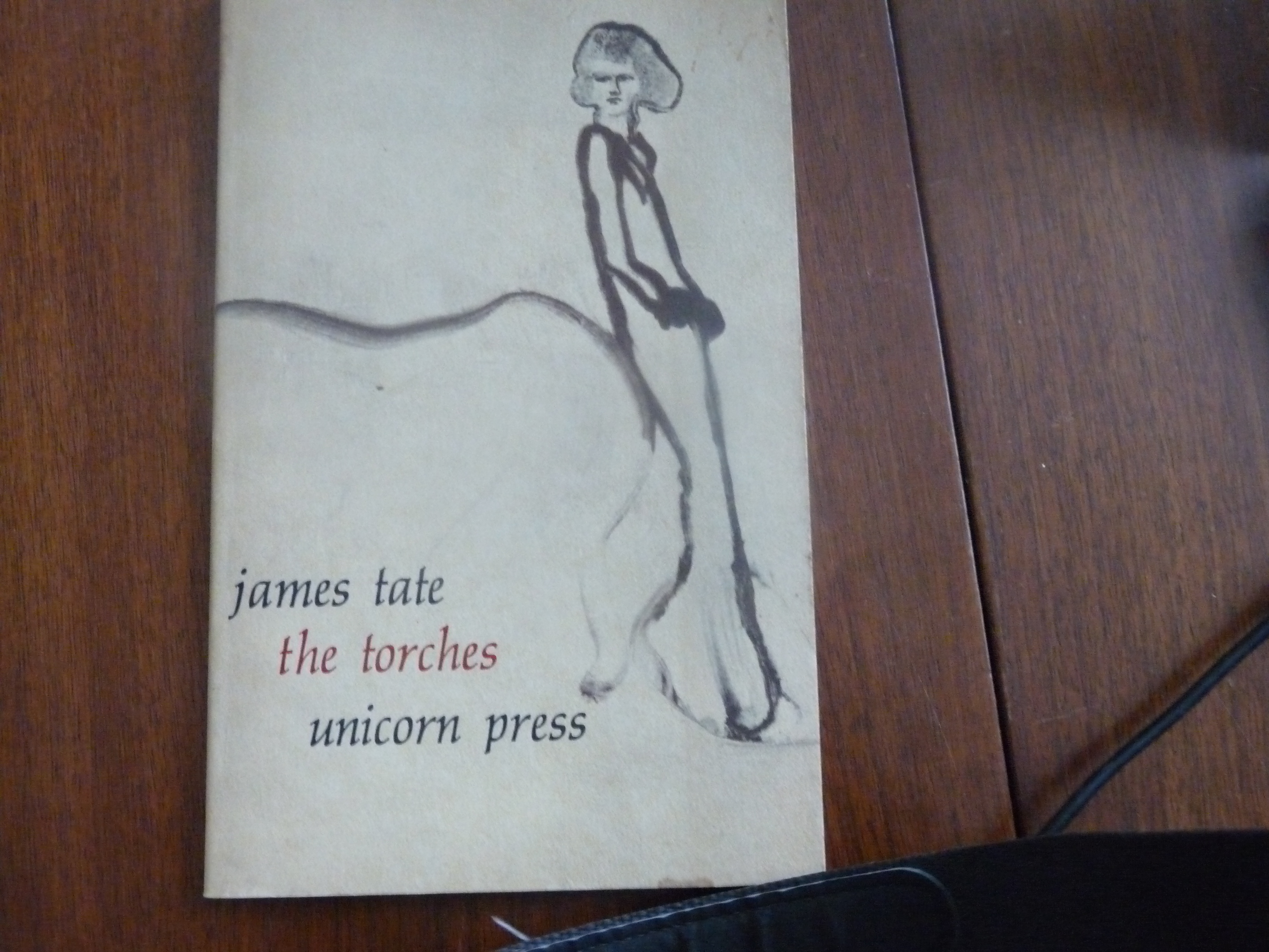 The Torches book cover