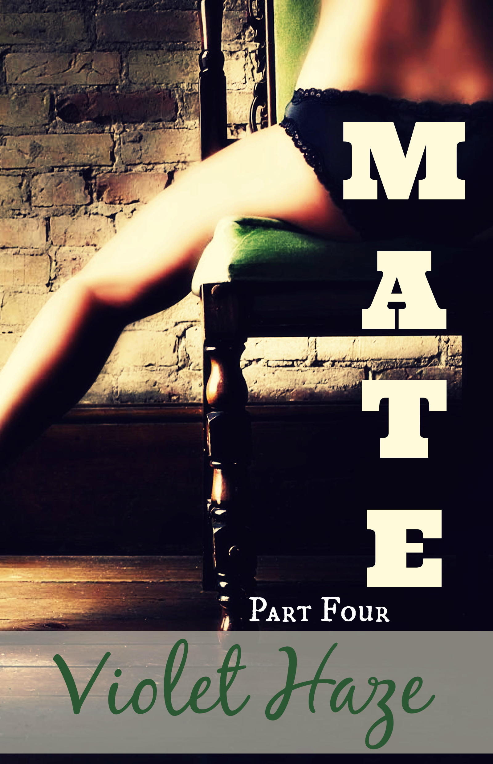 Mate book cover