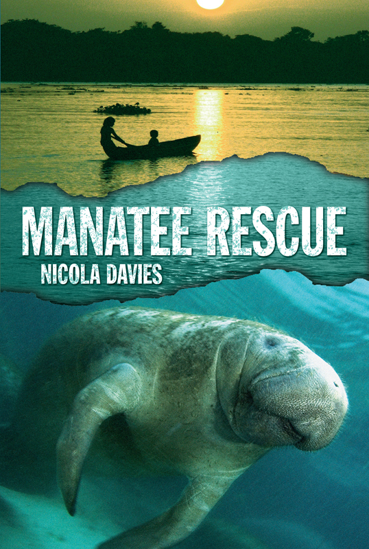 Manatee Rescue book cover