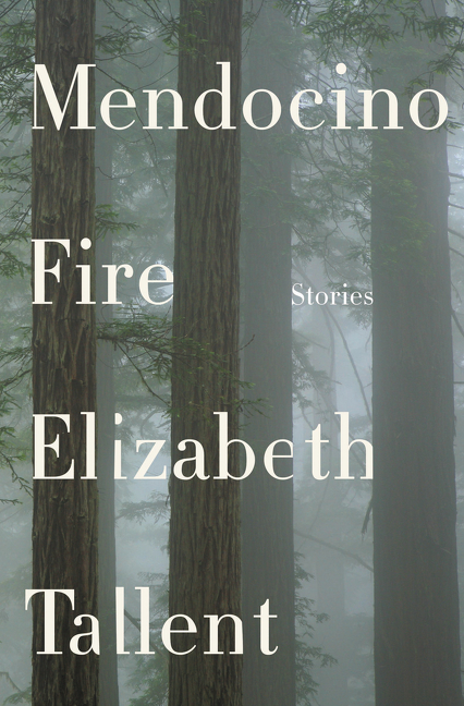 Mendocino Fire book cover