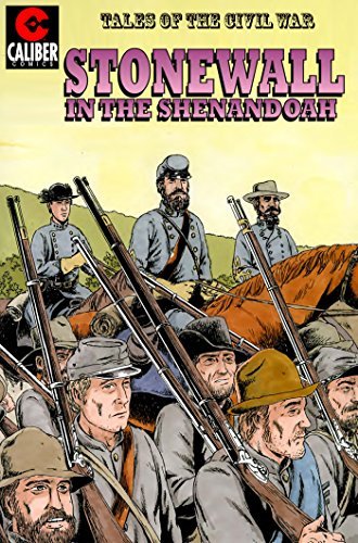 Stonewall in the Shenandoah book cover